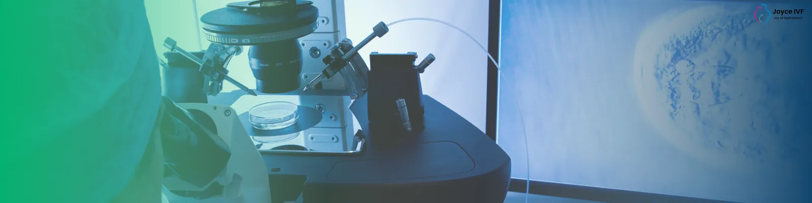BLASTOCYST TRANSFER