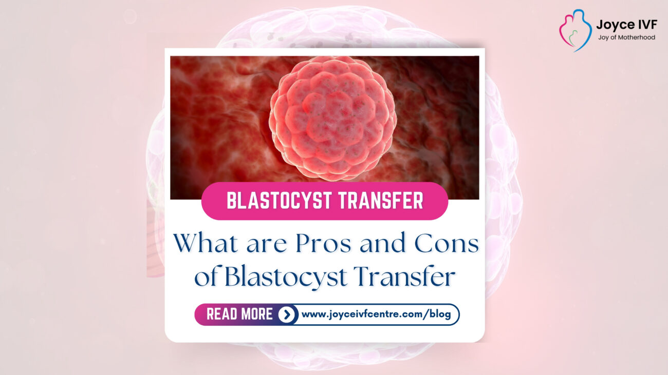 What are Pros and Cons of Blastocyst Transfer